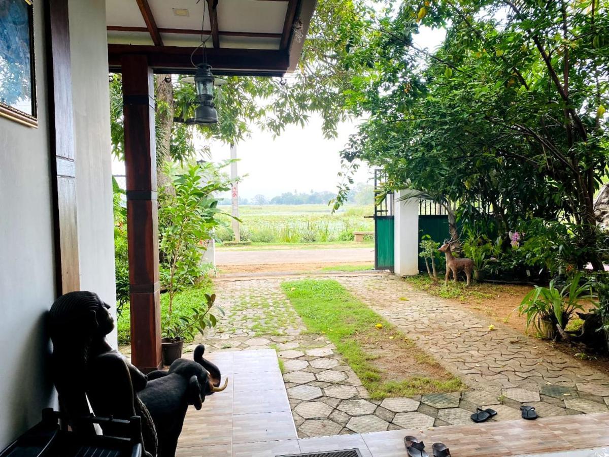 Birds Paradise Yala & Safari 蒂瑟默哈拉默 外观 照片